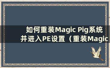 如何重装Magic Pig系统并进入PE设置（重装Magic Pig系统容易吗）